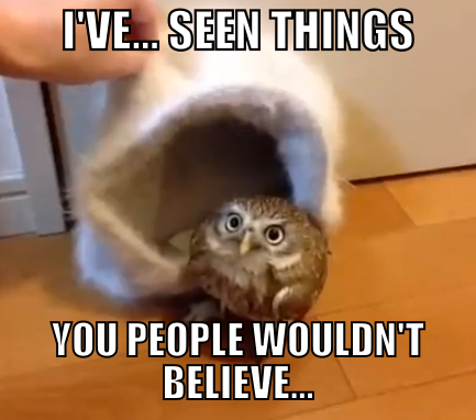 owl-ive-seen-things