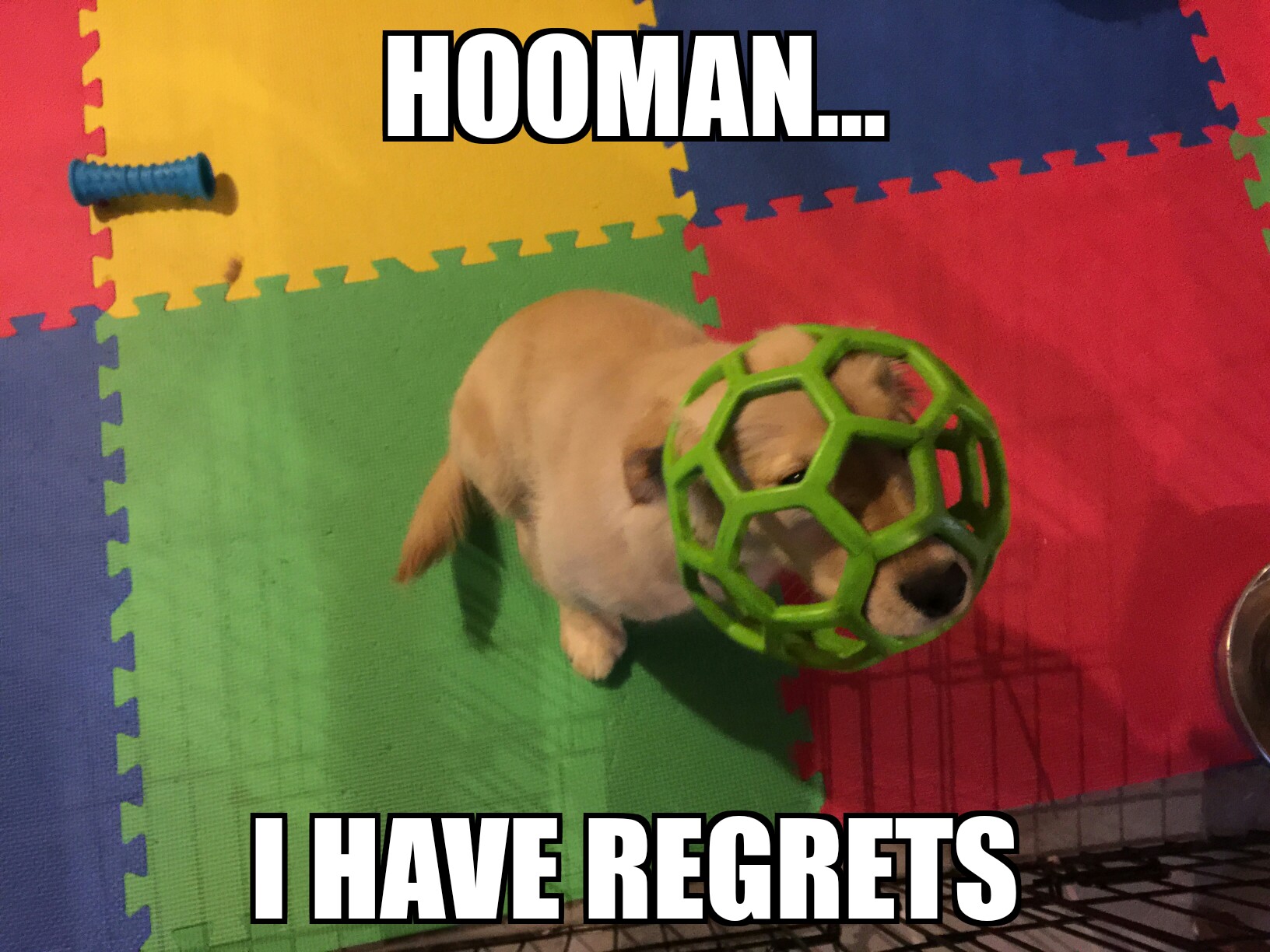 Hooman... I have regrets. By SaintMikeTheGreat on Imgur.