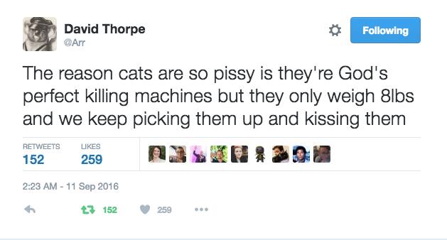 "The reason cats are so pissy is they're God's perfect killing machines but they only weigh 8lbs and we keep picking them up and kissing them" – Tweet by David Thorpe